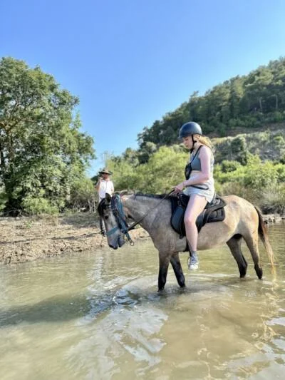Horses by the lake