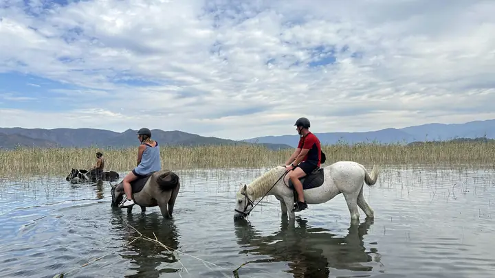 A pause with the horses in the lake