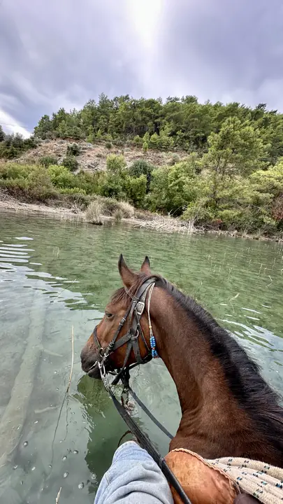 Caunos Horses, Çandır