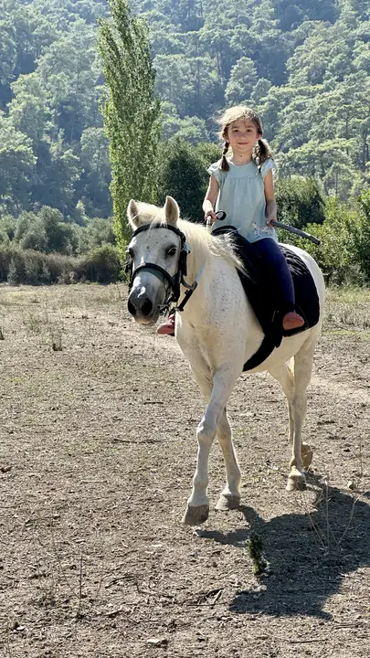On the trail