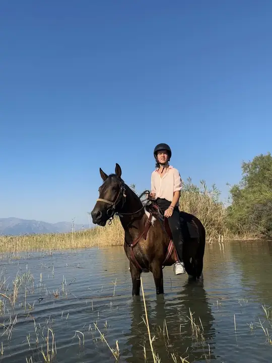 A horse in Çandır