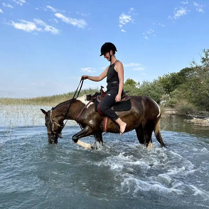 A horse in shallow water, lake ride