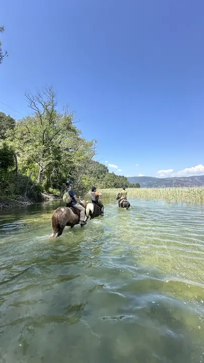 Horses in Çandır