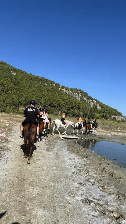 A ride among the reeds