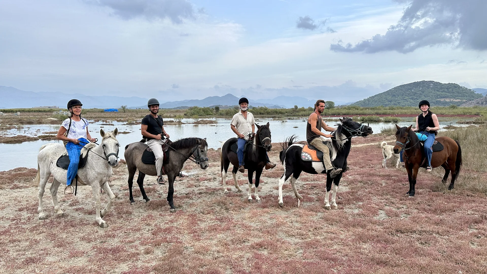 Horses by the lake