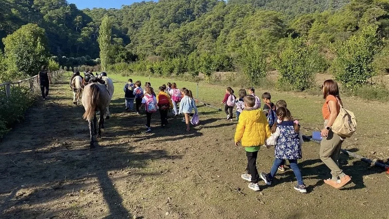 Riding at the farm, arena
